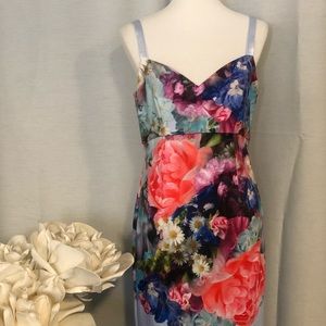 Ted Baker London Floral Print Dress